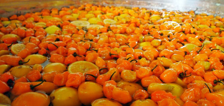 vinegar ingredients