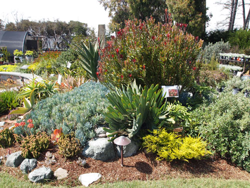 demonstration garden of South African plants
