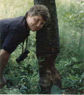 She did not eat this tree, FYI