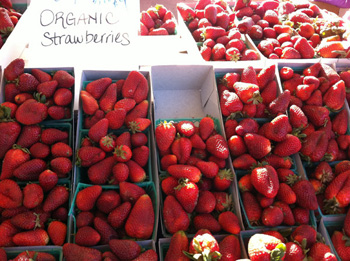 organic strawberries on display at an outdoor farmers market