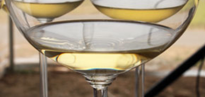 tasting Chardonnay at Byron Winery, Santa Maria