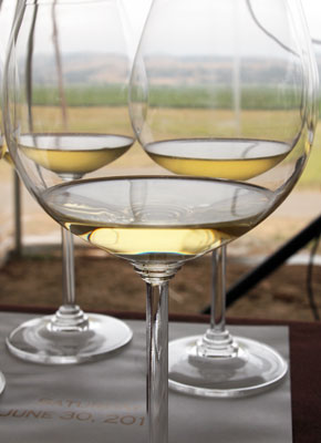 tasting Chardonnay at Byron Winery, Santa Maria