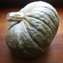 Chaparral Gardens and Winter Squash